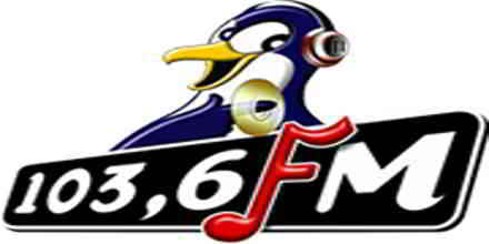 Pinguin FM Bali
