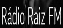 Radio Raiz