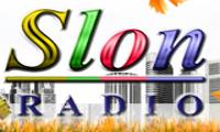 Radio Slon