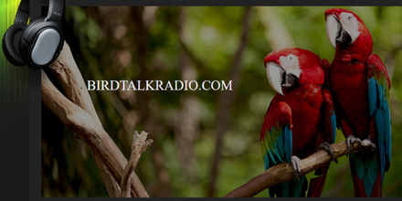 Bird Talk Radio