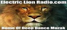 Electric Lion Radio