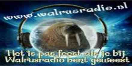 Walrus Radio