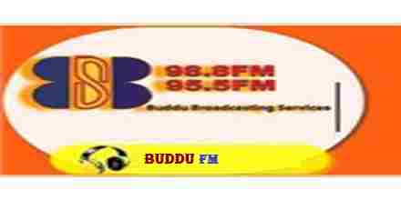 Buddu FM 98.8