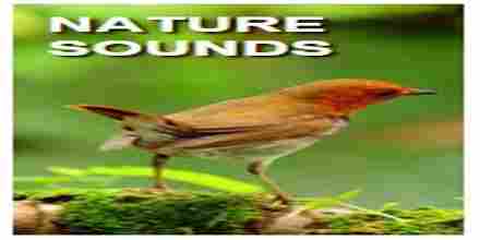 Chroma Radio Nature Sounds