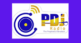 PDJ Radio